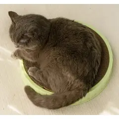 GENERICO - Rascador para gato circular 50cm BP - Verde