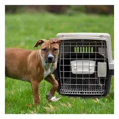 GENERICO - Transportadora Pet de Plastico Compacto L60 en Color Negro