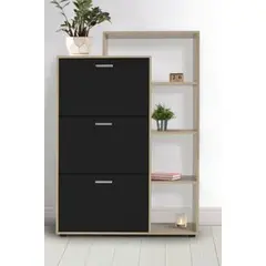 GENERICO - Zapatera Moderna Minimalista Adan color Negro R&R Muebles