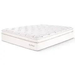 PARAISO - Colchón Royal Dynasty 1.5 Plz + 1 Almohada Viscolélastica + Protector