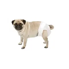 GENERICO - Pañal para perros Hembra Talla M X 10 unidades
