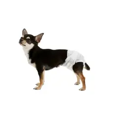 GENERICO - Pañal para perros Hembra Talla S X 10 unidades