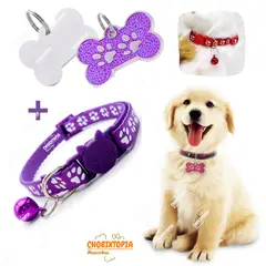 GENERICO - PLACA Y COLLAR PARA MASCOTAS CON CASCABEL - MORADO