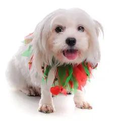 CAT OH - Ropa para perro collar Arlequin de Navidad - S 22- 26 CM