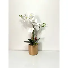 GENERICO - ORQUIDEA BLANCA 47 X 12 BASE DORADA CIL