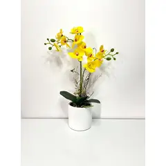 GENERICO - ORQUIDEA AMARILLA 47 X 12 BASE BLANCO