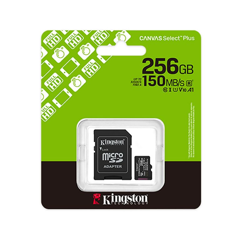 MEMORIA MICRO SD 256 GB