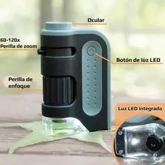CARSON - Microscopio de bolsillo LED MicroBritePlus MM-300 60x-120x Gris