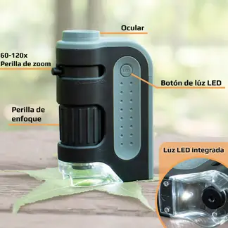 CARSON - Microscopio de bolsillo LED MicroBritePlus MM-300 60x-120x Gris
