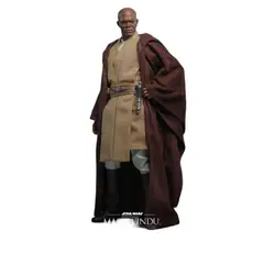 HOT TOYS - Mace Windu Star Wars II Attack of the Clones