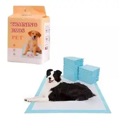 GENERICO - Pañales de Piso Absorbentes 60X90 - Training Pads Pet