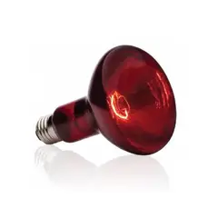 GENERICO - Foco luz infrarroja calorífica de noche 100 watts reptiles