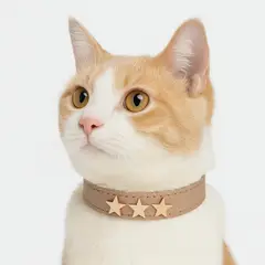 BOBBY - Collar para gatos Estrella Miau - BEIGE