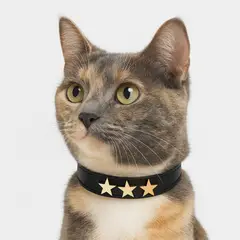 BOBBY - Collar para gatos Estrella Miau - negro