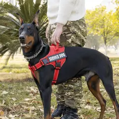 GENERICO - ARNÉS PARA PERROS DE SERVICIO EXTRA DOBLE COLOR ROJO TALLA M + CORREA GRUESA