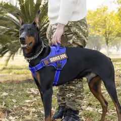 GENERICO - ARNÉS PARA PERROS DE SERVICIO EXTRA DOBLE COLOR AZUL TALLA L + CORREA GRUESA