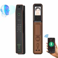 OEM - Cerradura Inteligente Smart Chapa Reconocimiento Facial 3d Wifi Dorado