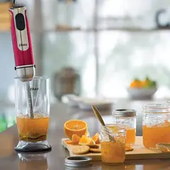 OSTER - Batidora de Inmersión FPSTHB2801