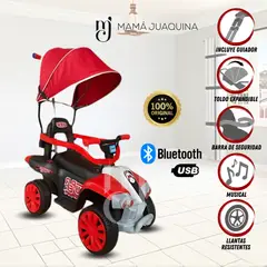 BABY - Correpasillo Guiador «LINZER» Red