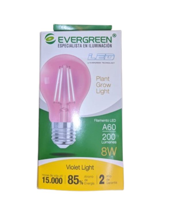 FOCO PLANT GROW LIGHT A60 8W LED - EVER GREEN