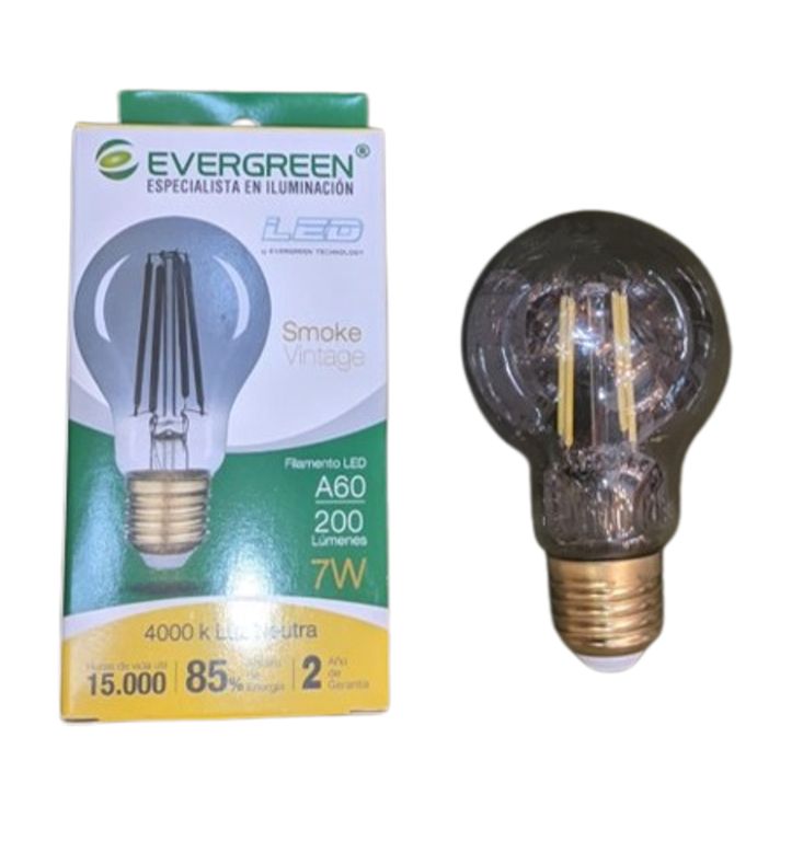 FOCO HUMO A60 7W LUZ INTERMEDIA - EVER GREEN