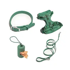 S&T - Pack Arnés + Collar + Correa + Dispensador Verde - Talla S