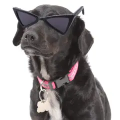 GENERICO - LENTES PARA MASCOTAS
