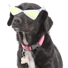 GENERICO - LENTES PARA MASCOTAS