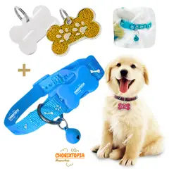 GENERICO - PLACA Y COLLAR PARA MASCOTAS CON CASCABEL - GOLDEN y CELESTE