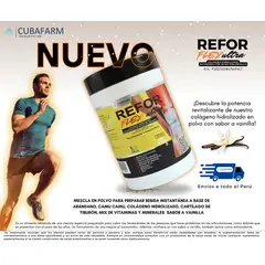 GENERICO - COLAGENO HIDROLIZADO + ACIDO HIALURONICO- REFORFLEXULTRA - 450GR