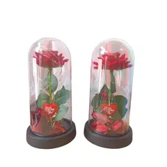 GENERICO - Cúpula Rosa Eterna Roja con LED Multicolor