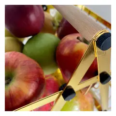 RYBIU IMPORT - Estante de Amplio Espacio en Color Dorado Y+Regalo Agendita