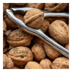 GENERICO - Pinza de Mango Ergonomico en Color Acero Y+Regalo Agendita