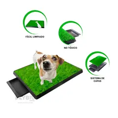 GENERICO - Sanitario Funcional M en Color Negro Y+Regalo Agendita