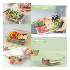 RYBIU IMPORT - Contenedor Bonito en Verde 410ml Y+Ligas de Regalo