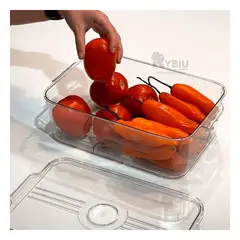 GENERICO - Bandeja Rectangular con Desague 30x16x10cm Y+Regalo Stickers