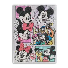 GENERICO - CUADRO DE DIAMANTES 30X40 MICKE Y - JUGUETE NAVIDAD
