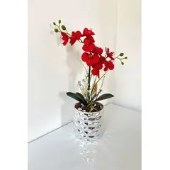 GENERICO - ORQUIDEA ROMJA BASE PLATA CROMADO 45 X 20