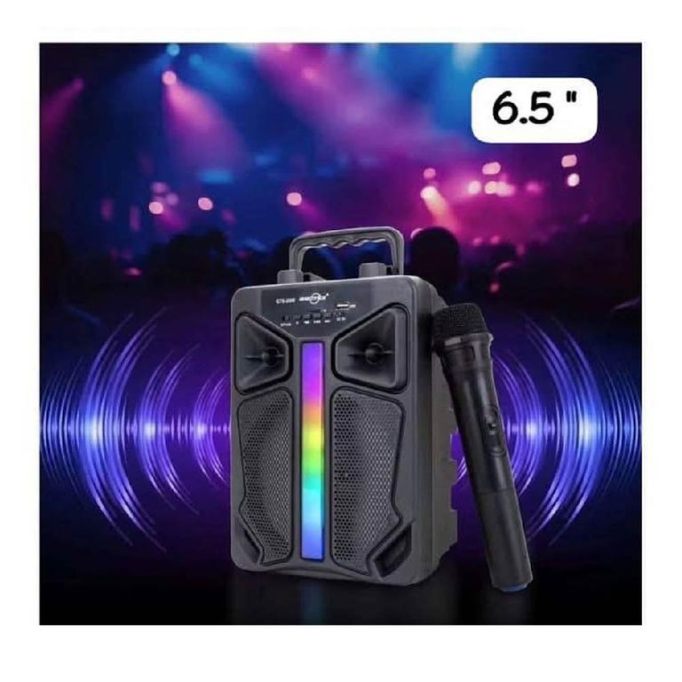 PARLANTE PORTATIL 6´5 CON MICRO INALAMBRICO