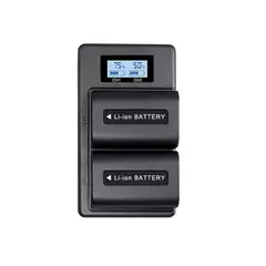 GENERICO - Cargador NP-FV100 Doble con Pantalla