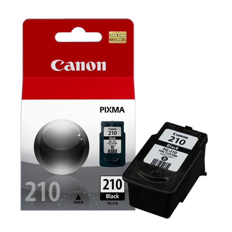 Tinta PG-210 Negro Original