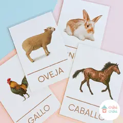 CHIBI CHIBI - Flashcards -12 tarjetas