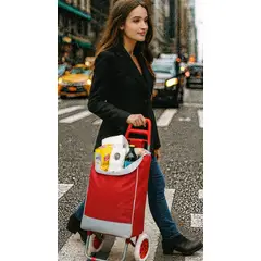 GENERICO - COCHE GRANDE CARRITO COMPRAS MERCADO HOGAR CON BOLSILLO Y CIERRE ROJO