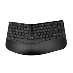 GENIUS - TECLADO ERGO KB-700 NEGRO PN31310053401