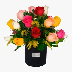 GREEN HOUSE FLORERIA - Arreglo de 24 Rosas Coloridas Naturales en Caja negra - Glam Black