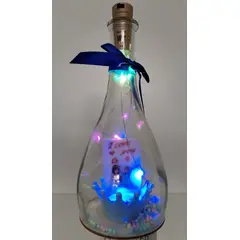 GENERICO - BOTELLA DE SAN VALENTIN AMISTAD CON LUZ LED INTERNAS