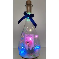 GENERICO - BOTELLA DE SAN VALENTIN AMISTAD CON LUZ LED INTERNAS