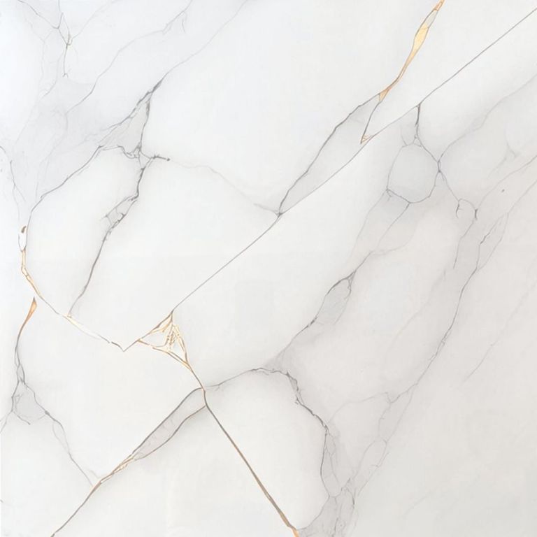 PORCELANATO PASTORURI GOLDEN 60X60cm 144m2 VITRIFICADO