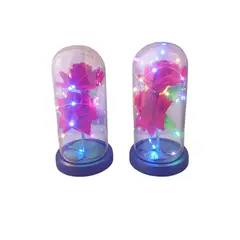 GENERICO - Cúpula 2 Rosa Eterna Roja con LED Multicolor