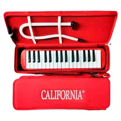 CALIFORNIA - Melódica Importada de 37 Teclas – Versátil y Educativa